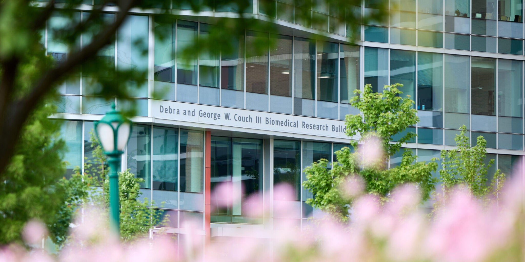 Department of Washington University School of Medicine