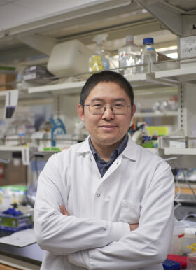 Shihua Dong, PhD