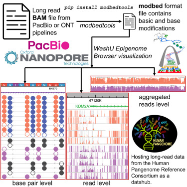 New Modbed Track Available on WashU Epigenome Browser 