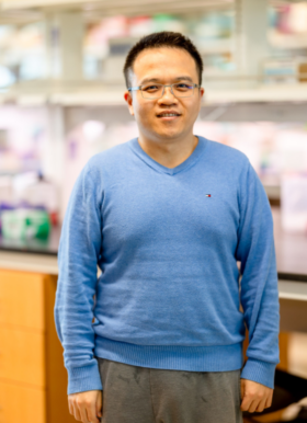 Yung-Chun (David) Wang, PhD