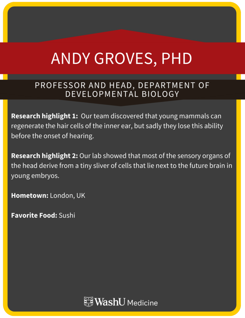 Genetics Seminar Series - Andy Groves, PhD - Genetics