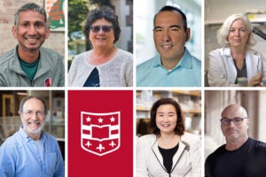 Seven WashU faculty elected to AAAS