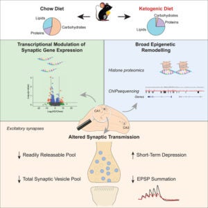 featured figure of the research