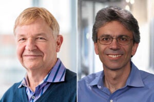 DNA damage can trigger neurons to self-destruct